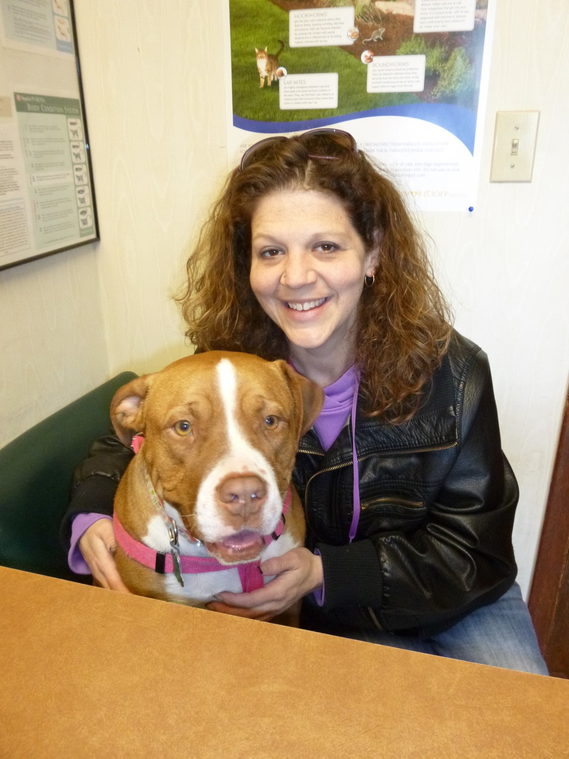 Clay-Mar Veterinary Clinic - Owosso, MI - Photo Album / Our Patients